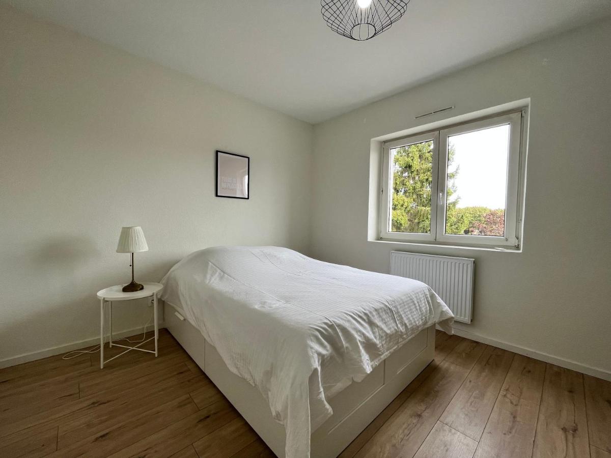 Appartamento Lumineux Apt 1Br Type Loft Proche Centre Thionville Esterno foto